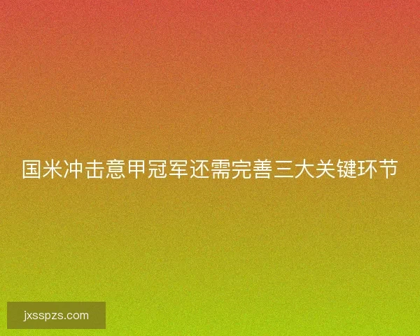 国米冲击意甲冠军还需完善三大关键环节